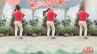 舞动健康广场舞((邵东跳跳乐第十二套第六节))背面刘华广场舞学跳