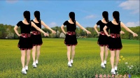 徐州精典影视传媒6月新舞抢先看：DJ版燕子广场舞《一地伤悲》健身步子舞，附分解动作