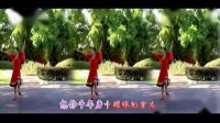 娇媚广场舞《想西藏》附背面 视频