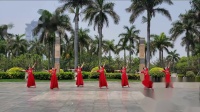 2019阿中中广场舞--我的祖国我的梦-厦门海之梦广场舞队演示