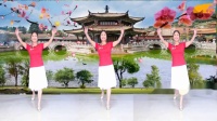 玮烨广场舞《美丽中国我的家》