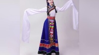 君晓天云藏族舞蹈演出服新款少数民族西藏水袖长裙服装广场舞表演服女成人