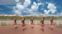 高安锦江外滩广场舞团队版 《拉萨夜雨》