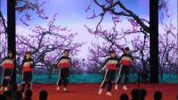 《2019上海广场舞年会盛典》上海欢乐豆豆曳步舞团队表演