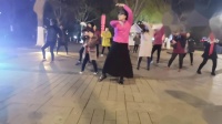 舞灵美娜孑广场舞《饿狼传说》夜舞版