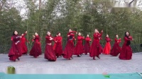 紫竹院广场舞《想西藏》，告别2019，迎接2020