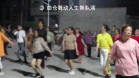 《开门红》白仓舞动人生舞队在文体广场跳广场舞