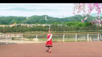 高安锦江外滩广场舞个人版《吉祥如意》 表演：美容 编舞：应子