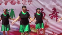 西张堤舞蹈队《红红的中国火火的时代》临西县农华杯广场舞大赛 初赛