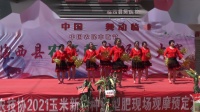 小卢舞蹈队《中国美》临西县农华杯广场舞大赛 初赛