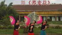 红光山舞蹈队梅梅广场舞《荞麦花》 [高质量和大小]