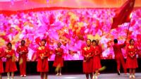 濮阳市广场舞决赛【五星红旗飘起来】------供电公司舞蹈队展演