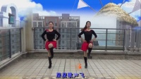 桃花森林广场舞《天籁之爱》2017010  单人水兵舞