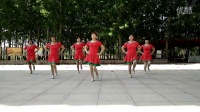 丁庄文雅广场舞队---中国广场舞