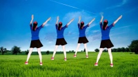 欢乐舞蹈教学 - 广场舞最炫民族风