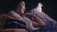 钱曼华《海鸥飞来了》1980年电影《海之恋》插曲