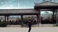 寿州广场舞 情网