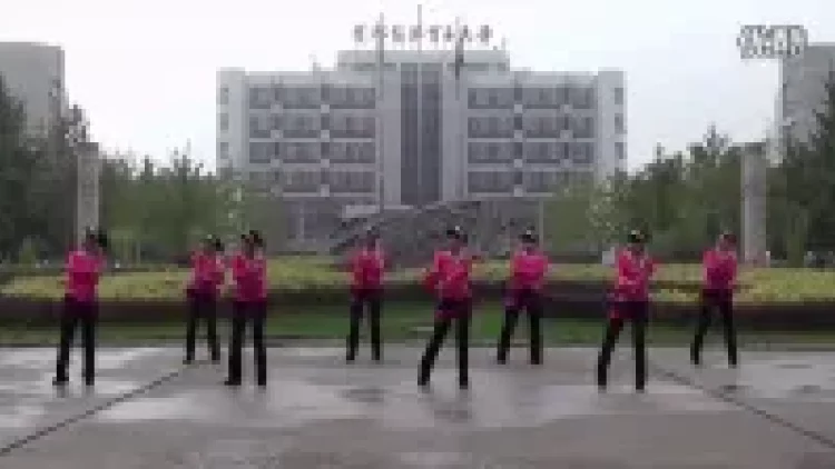 （守望你是我的歌）广场舞教学视频