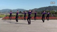 美丽的七仙女 广场舞蹈视频大全 广场舞教学