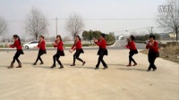 南良水广场舞想西藏