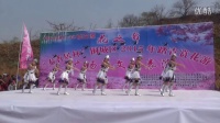 莱钢悦舞飞扬舞蹈队--圣洁的西藏