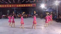 吴阳镇贞贞广场舞堡城舞队，《吊丝的爱》