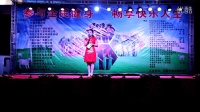 环县中老年舞蹈协会2015年9月18日广场汇演