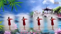 2016热门广场舞蹈视频大全 广场舞教学 泛水荷塘
