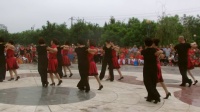 东阿县一六年八月八日全民健身日优秀节目：交谊舞北京平四《我的心在飞》东健舞蹈队