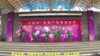 10，2016年8月20日“中硅杯”广场舞比赛，闻歌起舞舞蹈队《芦花 长扇舞》