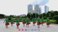 学跳广场舞糖豆广场舞(8)