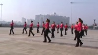 舞蹈视频 - 社员都是向阳花 广场舞.mkv