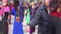 2019年2月17日阿凡提歌舞团新疆舞联欢活动
