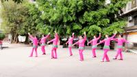 《我在春天等你来》龙川县人民广场舞蹈队