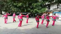 《红枣树》龙川县人民广场舞蹈队习舞