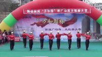 林州市东姚镇舞动青春广场舞： 失恋阵线联盟。万和园杯复赛。