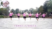 112温州张林冰 广场舞鸭梨大  健身舞蹈教学原创含背面分解