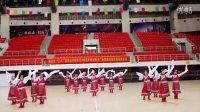 滕州市庆祝三八国际劳动妇女节广场舞展演选拔赛舞蹈爱我中华