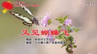 24、又见蝴蝶飞 阿保村文艺队 小窦数码影像