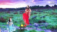 广场舞：路边的野花不要采 DJ_1080P超清MV