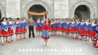全国广场舞联合会副主席春英老师来上海红舞鞋广场舞队互动纪实