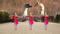 2016年宜阳明萱广场舞最新伤感情歌【流泪的两只鹅】编舞：代玉