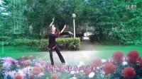 爱在天地间【正面】形体舞 广场舞 民族舞 曾惠林舞蹈系列