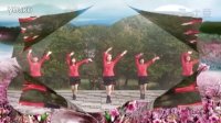 师桥公园亚亚广场舞2016年最新《万树繁花》