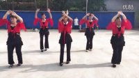 2016年魏寨子村 亲爱的 广场舞