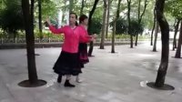 欢乐颂广场舞《双人对跳十八步》