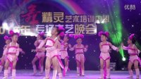 化州市舞精灵艺术培训中心专场晚会舞蹈：波斯猫