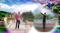 胶州胶莱镇广场舞 一枝梅  和廖弟老师合并视频