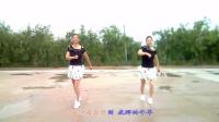 大荔凤玲广场舞《我爱的姑娘在草原》原创32步鬼步舞正背面含教学