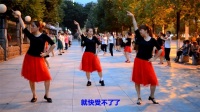 姹紫嫣红广场舞 鸭梨大【至上励合】姹紫嫣红舞蹈队